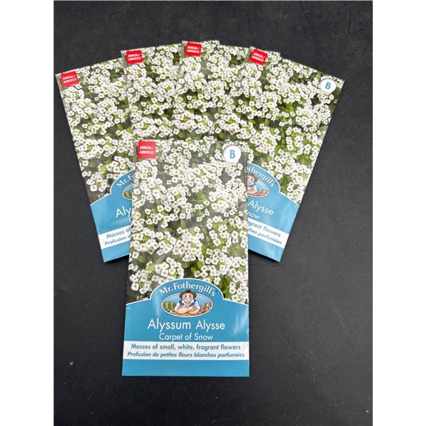 Mr. Fothergill’s Alyssum Alysee Carpet of Snow Flower Seeds lot of 5 Packs