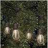 Image 1 : Artika Solar Blaze 20 LED Bulb Solar String Lights, Model 1804638