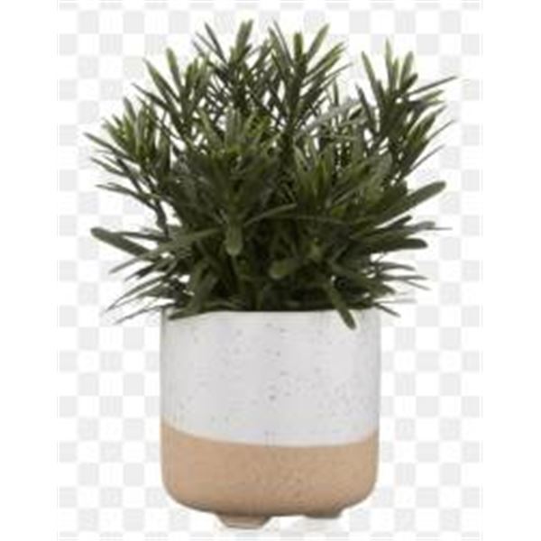 Two Artificial Plants in Ceramic Pots – Bouclair HAC221330