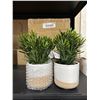 Image 2 : Two Artificial Plants in Ceramic Pots – Bouclair HAC221330