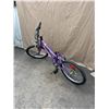 Image 3 : Purple Triumph Angel Kids’ Bicycle with 20-Inch Tires and Suspension Fork