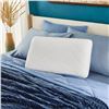 Image 1 : Novaform Soothing Cool Plus Queen Grand Pillow Oreiller