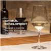 Image 1 : 8 All-Purpose Wine Glasses, Item 1824041