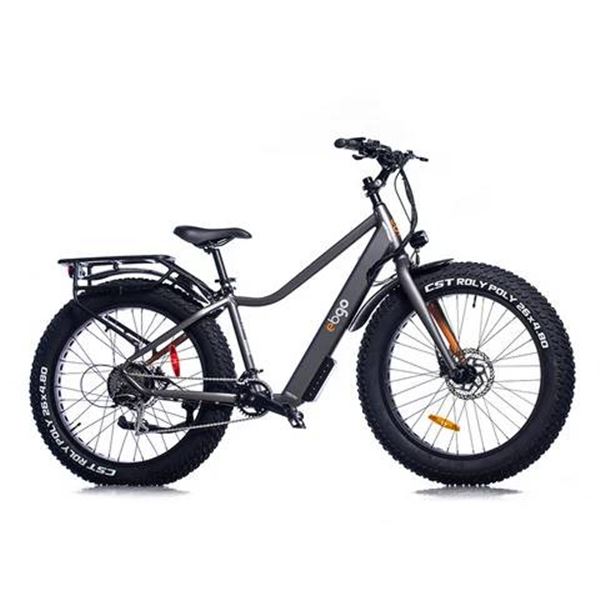 EBGO CCEF Electric Fat Tire Bike – 650 Model with Digital Display