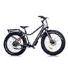 Image 1 : EBGO CCEF Electric Fat Tire Bike – 650 Model with Digital Display