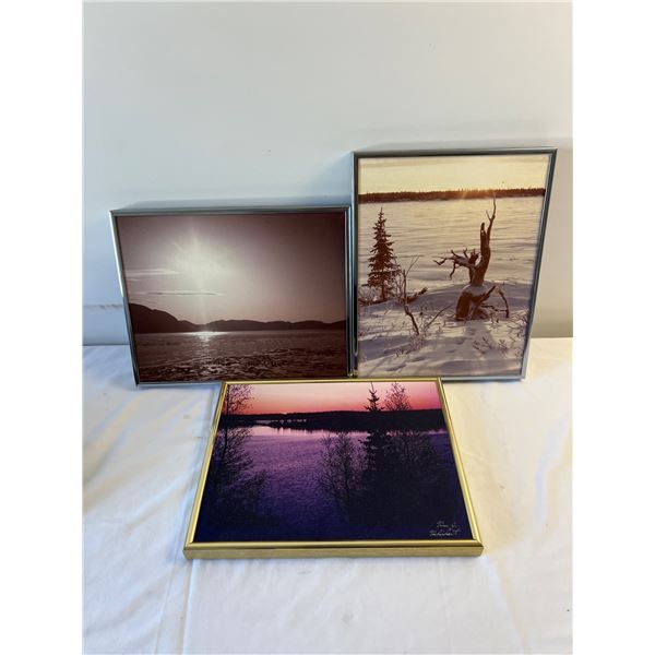 Framed Prints