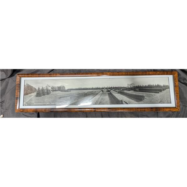 Vintage Dominion Experimental Station, Rosthern, Sask, 1929 (39"x9.5")