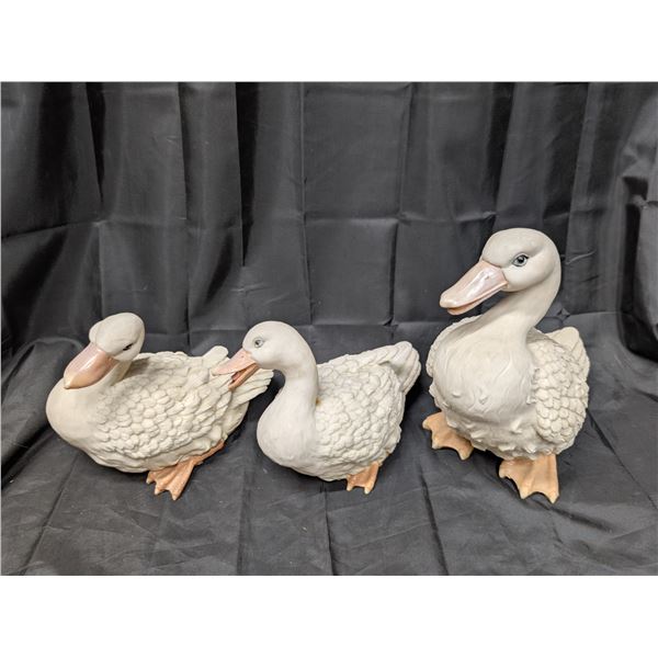(3) Decoration Ducks