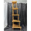 Image 2 : 5 Tier Wooden Plant Stand (48"x8-16")