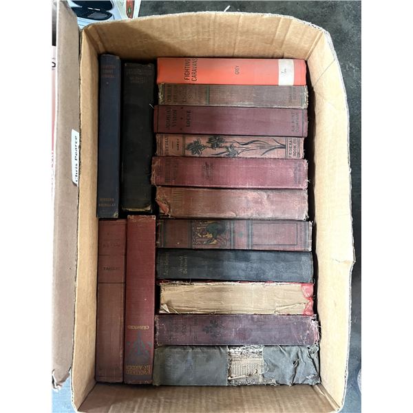 Lot of old books and history books