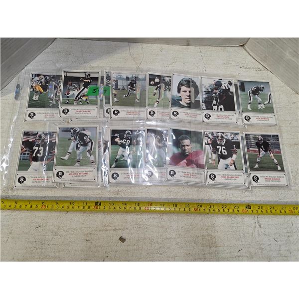Ottawa roughriders set of 24 cards from 1981