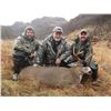 Image 1 : 6-Day Sitka Black-Tailed Deer Hunt With Rohrer Bear Camp for 2 - Donated by Rohrer Bear Camp