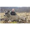 Image 3 : 6-Day Sitka Black-Tailed Deer Hunt With Rohrer Bear Camp for 2 - Donated by Rohrer Bear Camp