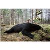 Image 1 : 5-Day Fully Guided Spring Black Bear Hunt in Stunning Cordova, Alaska — Donated by Sam Feje