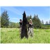 Image 2 : 5-Day Fully Guided Spring Black Bear Hunt in Stunning Cordova, Alaska — Donated by Sam Feje