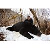 Image 4 : 5-Day Fully Guided Spring Black Bear Hunt in Stunning Cordova, Alaska — Donated by Sam Feje