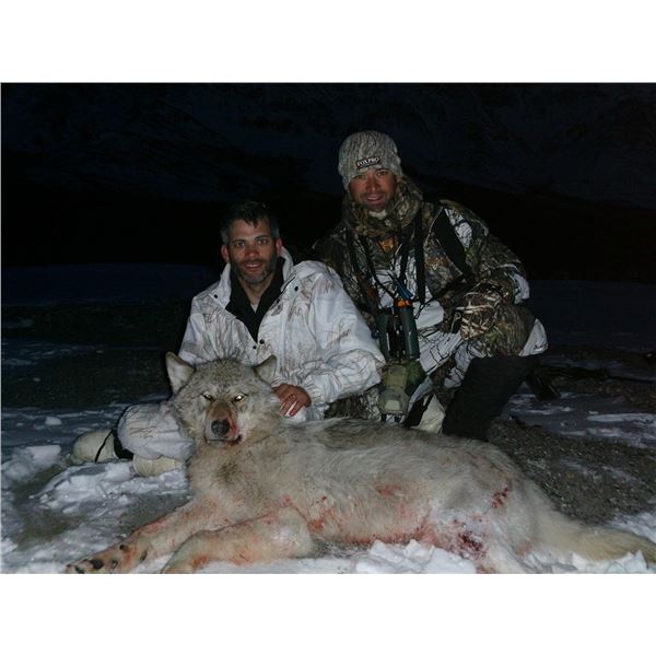 Ultimate Alaska Predator Hunt & Rifle Package - Donated By Coke Wallace