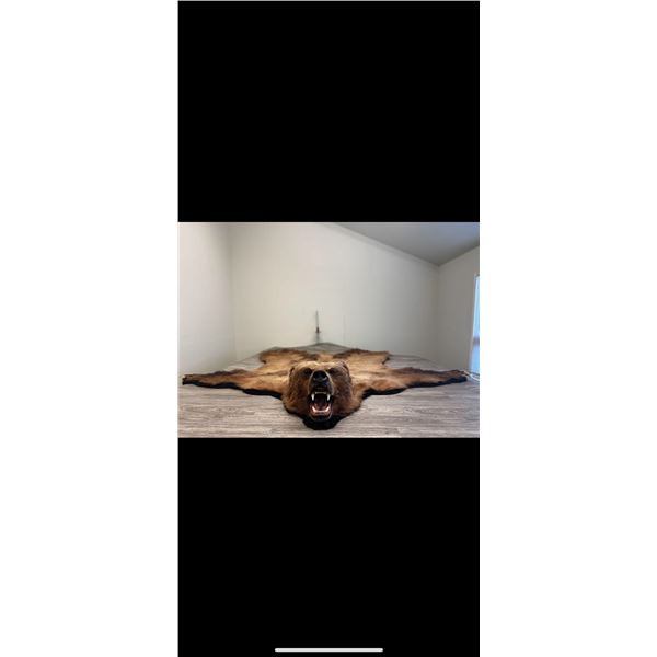 Grizzle Expediters Rug Credit - up 8'11" -  Donated by Grizzly Expediters