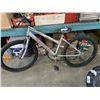 Image 1 : GRAY SUPER CYCLE BIKE