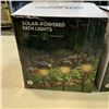 Image 2 : 2 NEW 6 PACK SOLAR POWERED PATH/LANDSCAPE LIGHTING