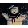 Image 1 : Ghostbusters Bill Bryan Signed Photo