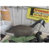Image 2 : 12 Canada Goose Decoys 