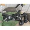 Image 5 : 12 Canada Goose Decoys 