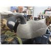 Image 5 : 6 Canda Goose Decoys , Jumbo Large +Canvas Bag