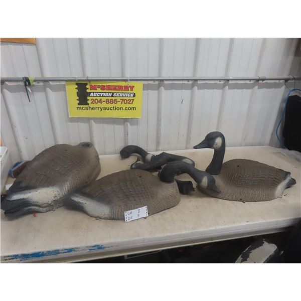 6X Canada Goose Decoys 