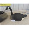 Image 2 : 11 Goose Decoys 