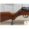 Image 4 : Chinese FPS Air Rifle RWS Diana 48/52