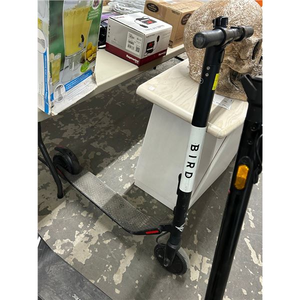 Bird Electric Scooter