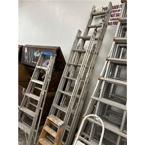 Werner Approx. 20'  Stepladder