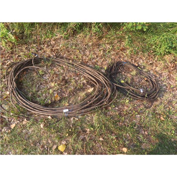 2 Extension Cords 
