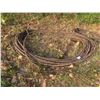 Image 3 : 2 Extension Cords 