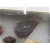 Image 3 : 7 Vintage First Nations Stone Arrowheads in Case Excellent Condition 