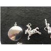 Image 3 : Sterling Silver Charms 17.4 gr.