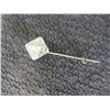 Image 3 : Lapel Pin and North American Hunting Club