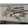 Image 1 : Vise Grip Clamps, Wire Brush, Bolt Cutter, Bolt Pin Hammer Plus