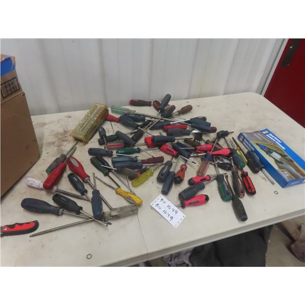 Quantity Screw Driver and Rivits 