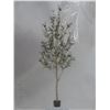 Image 1 : 6ft Artificial Olive Tree, New or Store Return 