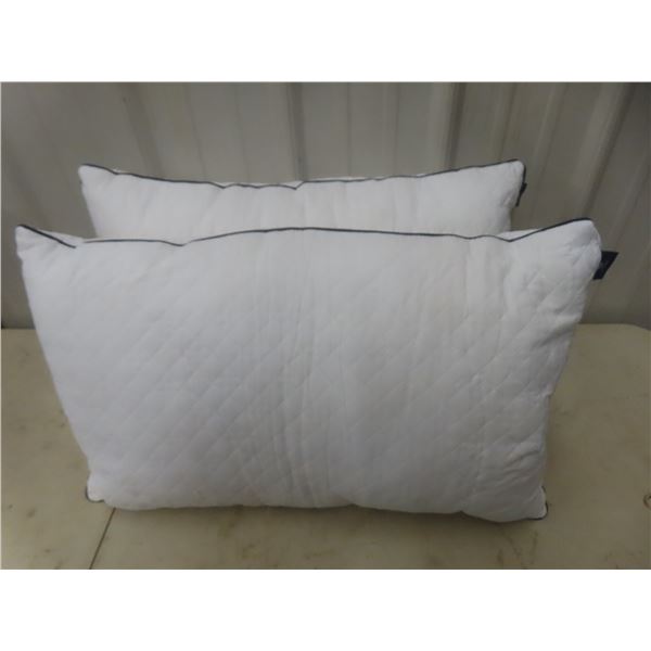 Regular Pillows - New Or Store Return 