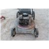 Image 2 : Land Mark Gas Lawn Mower