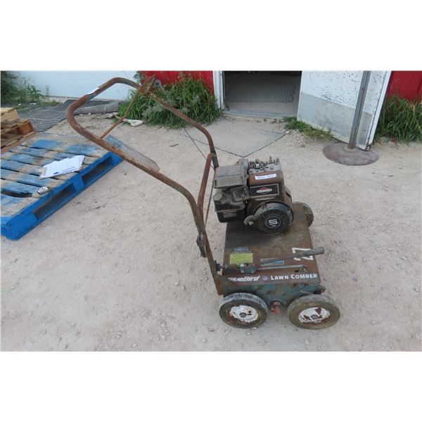 Blue Bird Gas Lawn Comber 27'' Wide 5HP