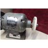 Image 5 : Bench Grinder and 2 Power 7 1/4 Circular Saws