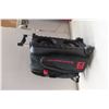 Image 6 : (2) 10-Pin Bowling Balls with Rolling Case 