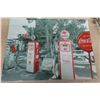 Image 2 : Snowmobile Trophies and Gaas Pump Picture 12x16