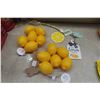 Image 3 : Lemon Décor: New Cookie Jar, Coffee Mug, Slogan Signs, Plastic Lemons and Dessert Bowl Set