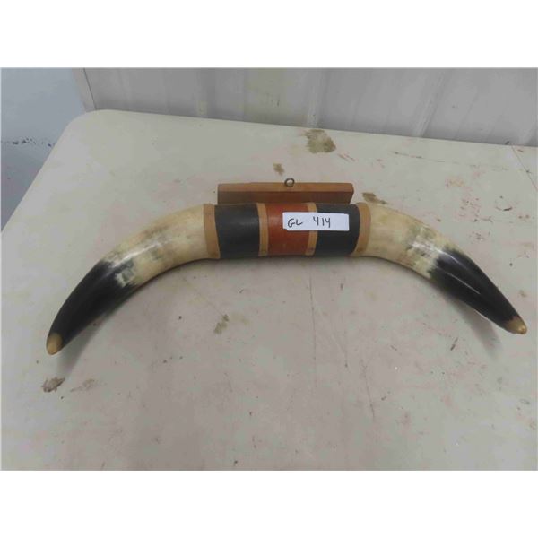 Bull Horn 21'' Spread 