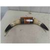 Image 1 : Bull Horn 21'' Spread 